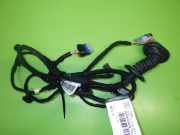 Kabelstrang Kabelbaum Tür hinten links OPEL GRANDLAND X (A18) 1.2 (75) 9845517880