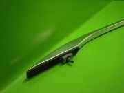 Dachzierleiste rechts AUDI (NSU) A4 Avant (8ED, B7) 2.0 TDI 16V