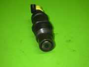 Einspritzdüse Zyl 1 Injektor VW TRANSPORTER T4 Pritsche/Fahrgestell (70XD) 2.4 D Syncro 068130202