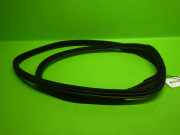 Türgummi Türdichtung hinten links BMW 5 Touring (F11) 530 d 51767199770