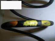 Feder vorne rechts VW POLO Coupe (86C, 80) 1.0