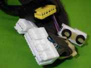 Kabelstrang Kabelbaum Tür vorne links NISSAN (DATSUN) PULSAR Schrägheck (C13) 1.2 DIG-T 241253ZL0D