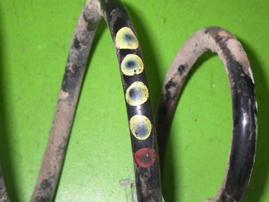 Feder vorne links SKODA OCTAVIA I Combi (1U5) 1.9 TDI 1J0411105 Bild Feder vorne links SKODA OCTAVIA I Combi (1U5) 1.9 TDI 1J0411105