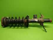 Federbein hinten links LAND ROVER FREELANDER 2 (FA_) 2.2 TD4 4x4 LR039916