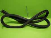 Türgummi Türdichtung hinten links MERCEDES-BENZ C-KLASSE (W203) C 200 Kompressor (203.042)