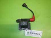 Zündspule NISSAN (DATSUN) PRIMERA (P10) 2.0 16V 2243355S10