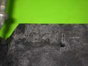 Türgriff vorne links außen CITROEN C4 II (B7) 2.0 HDI / BlueHDi 150 9688834180