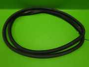 Türgummi Türdichtung vorne links SEAT LEON (1P1) 2.0 TFSI