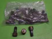 Radmutternsatz FIAT DUCATO Kasten (244) 2.8 JTD