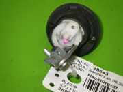 Hecktürgriff DACIA SANDERO 1.4