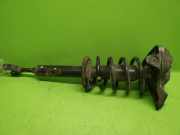 Federbein vorne rechts AUDI (NSU) A4 Avant (8D5, B5) 1.9 TDI 8D0413031BM
