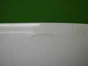 Motorhaube IVECO DAILY IV Pritsche/Fahrgestell 50C15