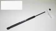 Gasdruckfeder Dämpfer hinten rechts FIAT PUNTO (188_) 1.2 60 (188.030, .050, .130, .150, .230, .250) 0046524678