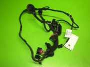 Kabelstrang Kabelbaum Tür hinten links AUDI (NSU) Q3 (8U) 2.0 TDI quattro 8U0971687A