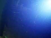 Motorhaube OPEL TIGRA TwinTop 1.4 93164195