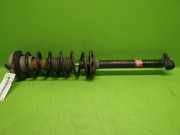 Federbein hinten links AUDI (NSU) A4 Avant (8D5, B5) 1.9 TDI 343302