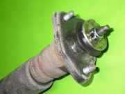 Stoßdämpfer hinten links BMW X3 (E83) 2.0 d 33503451402