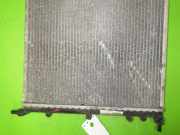 Wasserkühler RENAULT CLIO I (B/C57_, 5/357_) 1.2 (B/C57R)