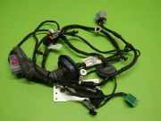 Kabelstrang Kabelbaum Tür hinten rechts OPEL INSIGNIA B Sports Tourer (Z18) 2.0 CDTi (35) 39133823