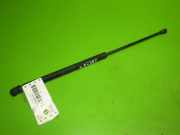 Gasdruckfeder Dämpfer hinten links SEAT LEON (1M1) 1.9 TDI