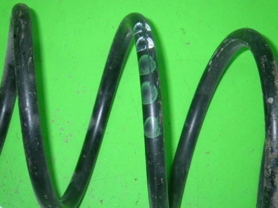 Feder vorne rechts VW POLO (6N1) 75 1.6 1J0411105AD Bild Feder vorne rechts VW POLO (6N1) 75 1.6 1J0411105AD