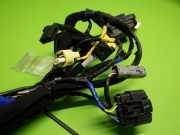 Kabelstrang Kabelbaum Tür vorne rechts HYUNDAI i30 Fastback (PDE/PDEN) 1.5 T-GDI Hybrid 48V