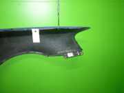 Kotflügel vorne links HYUNDAI ACCENT II (LC) 1.5 66311-25370