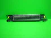 Ladeluftkühler OPEL CORSA D 1.3 CDTI 6302080