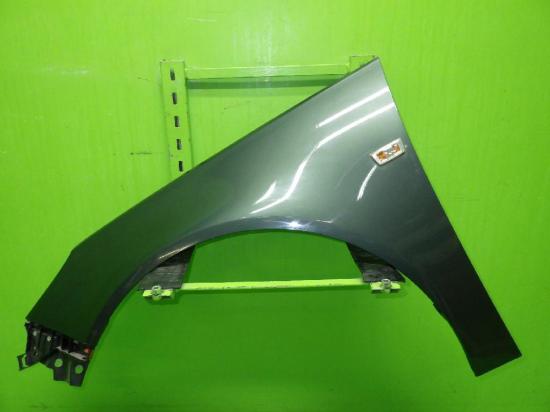 Kotflügel vorne links OPEL INSIGNIA Stufenheck 2.0 Turbo 4x4 Bild Kotflügel vorne links OPEL INSIGNIA Stufenheck 2.0 Turbo 4x4