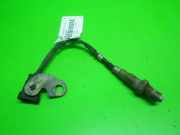 Lambdasonde hinten FIAT GRANDE PUNTO (199_) 1.4 16V 0258006206