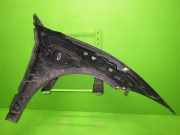 Kotflügel vorne links JAGUAR I-PACE (X590) EV400 AWD