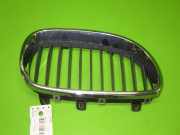 Kühlergrill vorne rechts BMW 5 Touring (E61) 520 d
