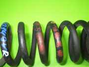 Feder vorne rechts MERCEDES-BENZ KOMBI Kombi (S124) 300 TE (124.090)