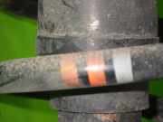 Federbein vorne links AUDI (NSU) A6 Avant (4F5, C6) 3.0 TDI quattro 4F0413031AM