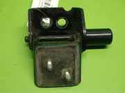 Scharnier Türscharnier hinten links unten RENAULT MODUS / GRAND MODUS (F/JP0_) 1.2 (JP0C, JP0K, FP0C, FP0K, FP 213724