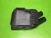 Ladeluftkühler RENAULT MEGANE I (BA0/1_) 1.9 dCi (BA05, BA1F) 8200175069