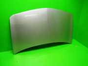 Motorhaube RENAULT MEGANE II Coupé-Cabriolet (EM0/1_) 1.9 dCi 7751476151