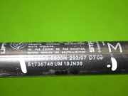 Gasdruckfeder Dämpfer hinten links FIAT STILO Multi Wagon (192_) 1.8 16V 51736746