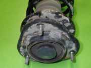 Federbein vorne links DAIHATSU TERIOS (J2_) 1.5 4x4 48510-B4022