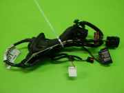 Kabelstrang Kabelbaum Tür hinten links FORD FOCUS III Turnier 1.0 EcoBoost BV6T14240LGF