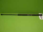 Gasdruckfeder Dämpfer hinten TOYOTA AYGO (_B1_) 1.0 (KGB10_) 689500H010