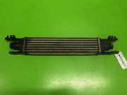 Ladeluftkühler OPEL CORSA D 1.3 CDTI 6302078