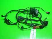 Kabelstrang Kabelbaum Tür vorne rechts VW PHAETON (3D_) 3.0 V6 TDI 4motion 3D1971121E