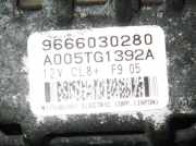 Lichtmaschine PEUGEOT 207 (WA_, WC_) 1.4 9666030280