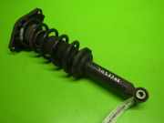 Federbein hinten links NISSAN (DATSUN) ALMERA II Hatchback (N16) 1.5