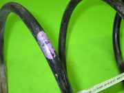 Feder vorne rechts RENAULT CLIO III (BR0/1, CR0/1) 1.2 16V (BR02, BR0J, BR11, CR02, CR0