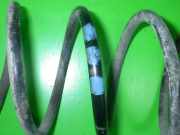 Feder vorne rechts VW POLO (86C, 80) 1.3 D