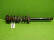 Federbein hinten rechts VW GOLF II (19E, 1G1) 1.8 i