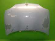 Motorhaube FIAT SEICENTO / 600 (187_) 1.1 (187AXB, 187AXB1A, 187AXC1A02)