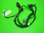 Kabelstrang Kabelbaum Tür vorne links NISSAN (DATSUN) MICRA III (K12) 1.2 16V 24125BC702
